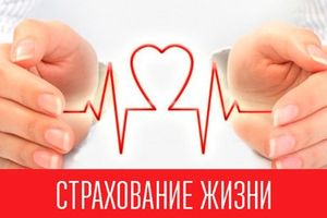 Иллюстрация к статье «Сколько можно заработать на накопительных страховках жизни»
