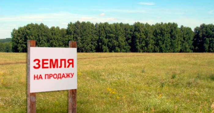 фото участка земли на продажу